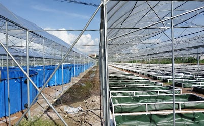 Intensive Fish Growing Aquaculture Systems supplier