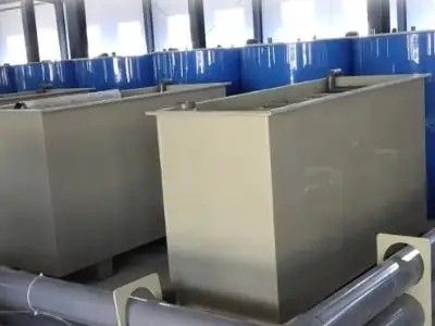 Advanced Recirculating Aquaculture Solutions Maintain Optimum Oxygen Levels
