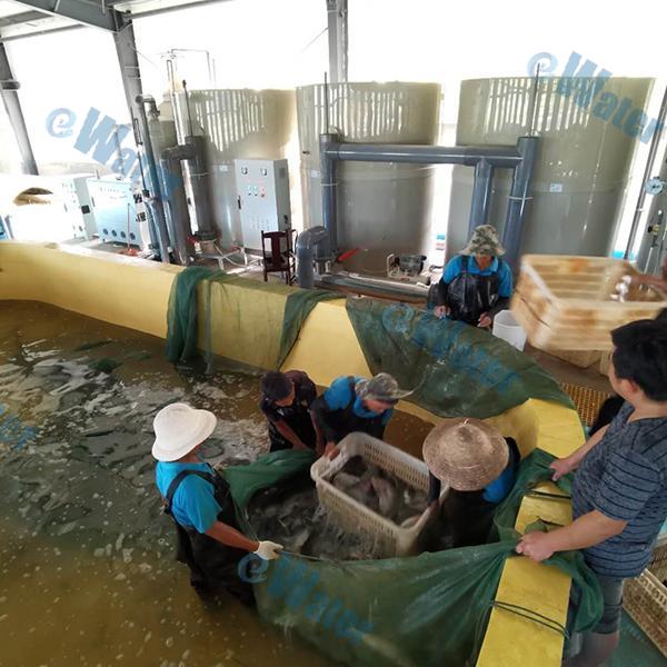 Where fish water pump is used