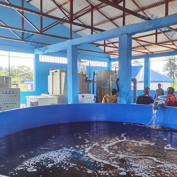 Innovation in Saltwater Filter with Protein Skimmer