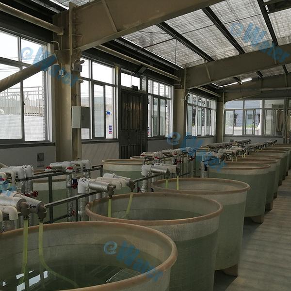 Here's How UV Sterilizers Help In Better Fish Culture