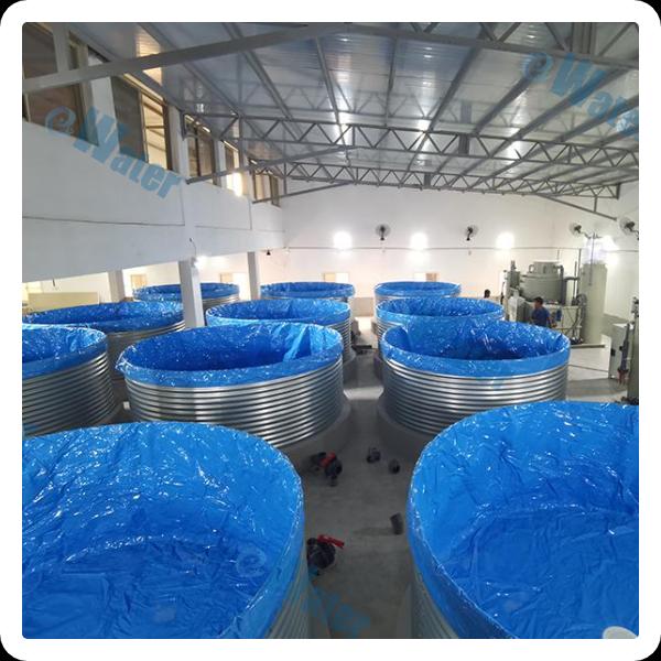 Indoor Shrimp Farming Setup Services & Quality