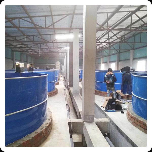 PISCICULTURE FISH FARMING TECHNIQUE