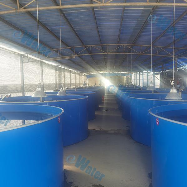 Ways In Which Commercial Hatchery Equipment Can Increase Production