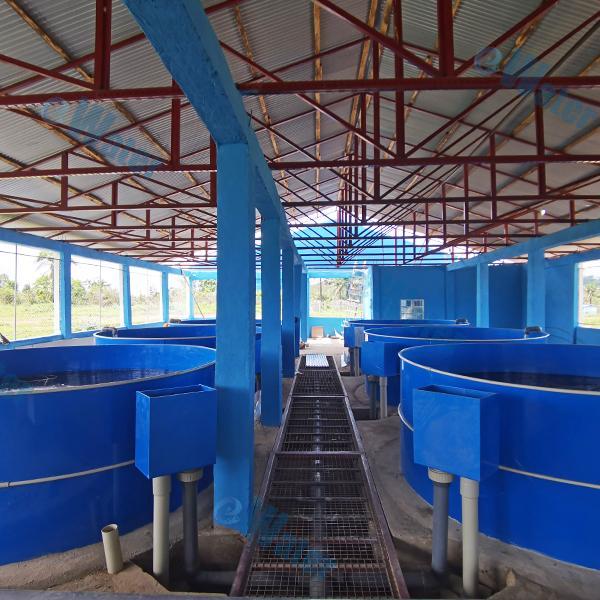 Using an Aquaculture Filter