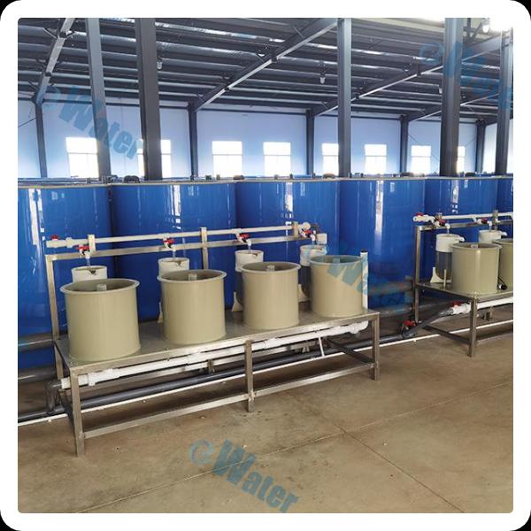 Enriching Water Quality with Oxygen Generators for Aquatic Life