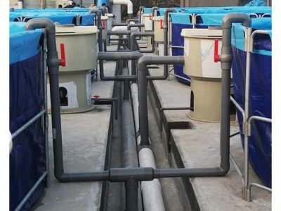 Why Protein Skimmers Are Vital in Intensive Shrimp Farming