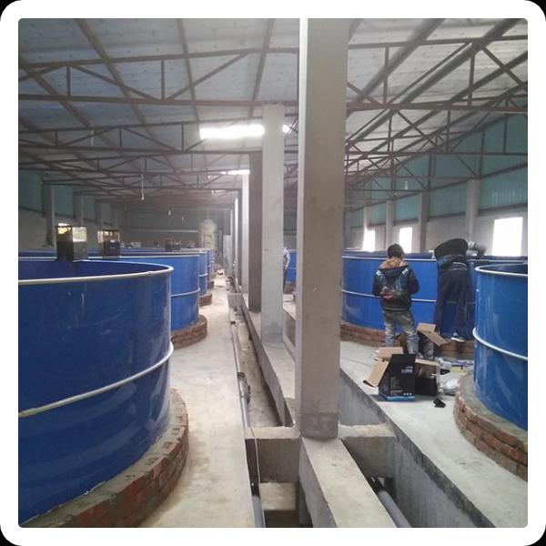 How aquaculture ras is changing the future of seafood production.