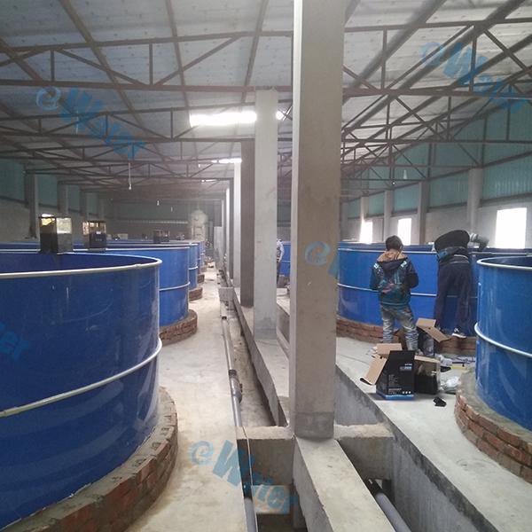 The benefits of using aquaculture ras for fish cultivation.