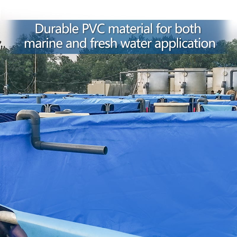 Pisciculture Fish Farming Trout Incubator Shrimp System RAS factory
