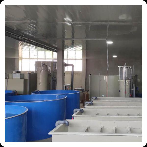 Innovation of the RAS System