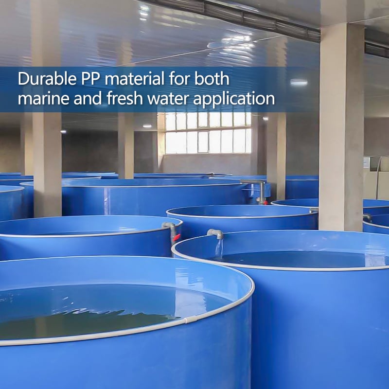 Indoor RAS Shrimp Farming Tanks/Indoor Fish Farming Tanks factory