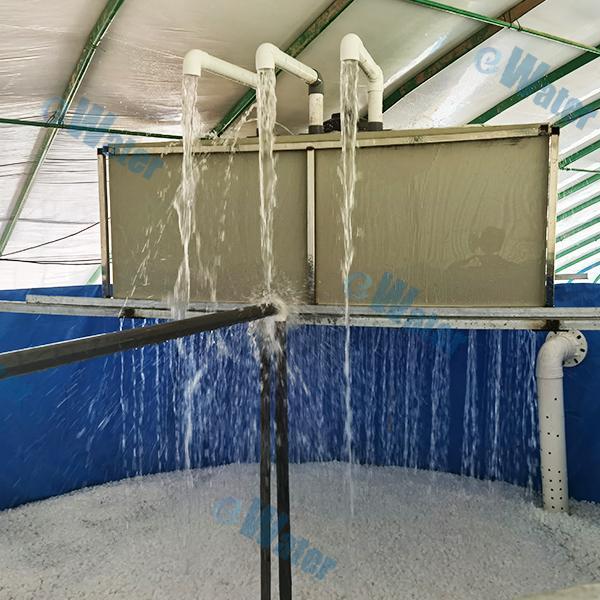 Choisir le bon filtre biologique pour poissons en fonction de la taille de votre bac et de la population de poissons