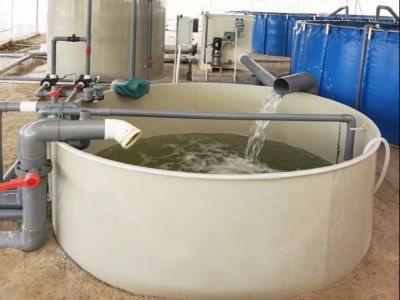 One of the best circular agriculture equipment manufacturers in China