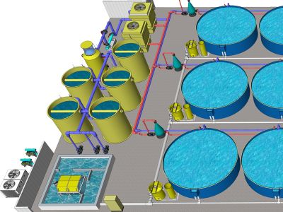 Are aquaculture costs lower in recirculating aquaculture systems than in conventional farming?