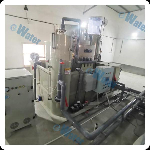 Quality and Sustainability of Ras Aquaculture Systems Tilapia