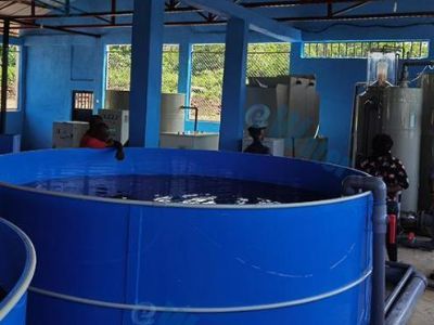 How Fish Farming Machines Are Transforming Modern Aquaculture Facilities