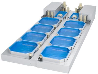 Prospects of recirculating aquaculture systems for California sea bass farming