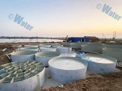 Why Commercial Recirculating Aquaculture Ensures Consistent Water Quality