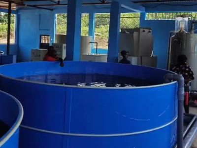 How Stainless Fish Hatchery Equipment Withstands Heavy Daily Use