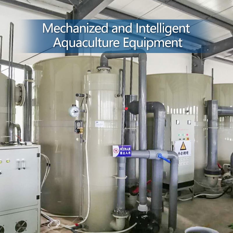 Pisciculture Fish Farming Trout Incubator Shrimp System RAS manufacture