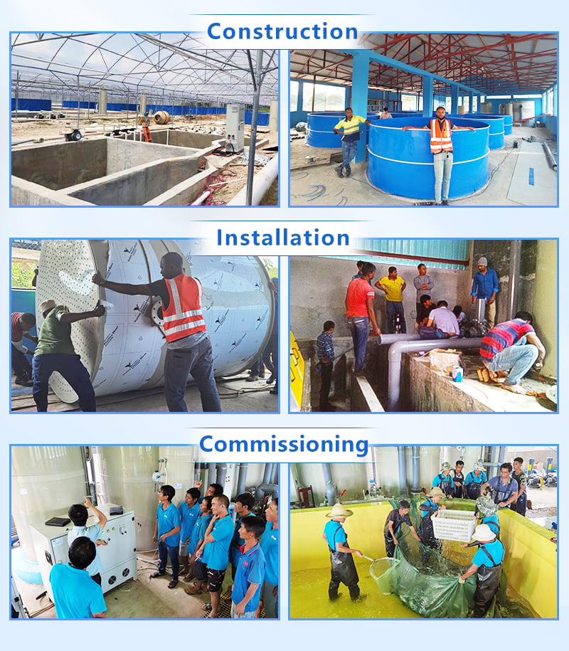Intensive RAS Fish Farming For Land-based Pond Fish Farm manufacture