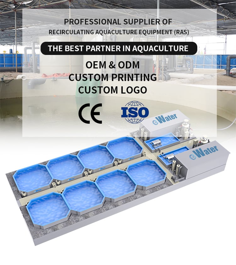 RAS Intensive Recirculating Aquaculture System for Indoor Farming manufacture