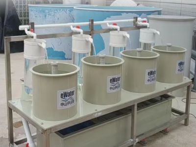 The Role of Water Flow Design in Fish Breeding Equipment