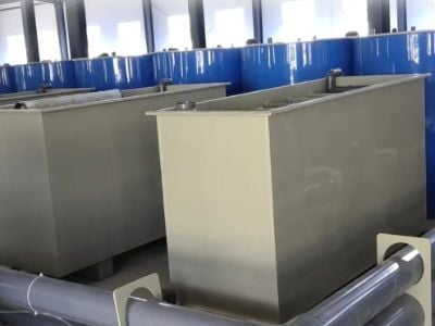 How Climate-Controlled Fish Hatcheries Stabilize Year-Round Fry Output