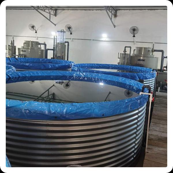 Innovation in Fish Farming