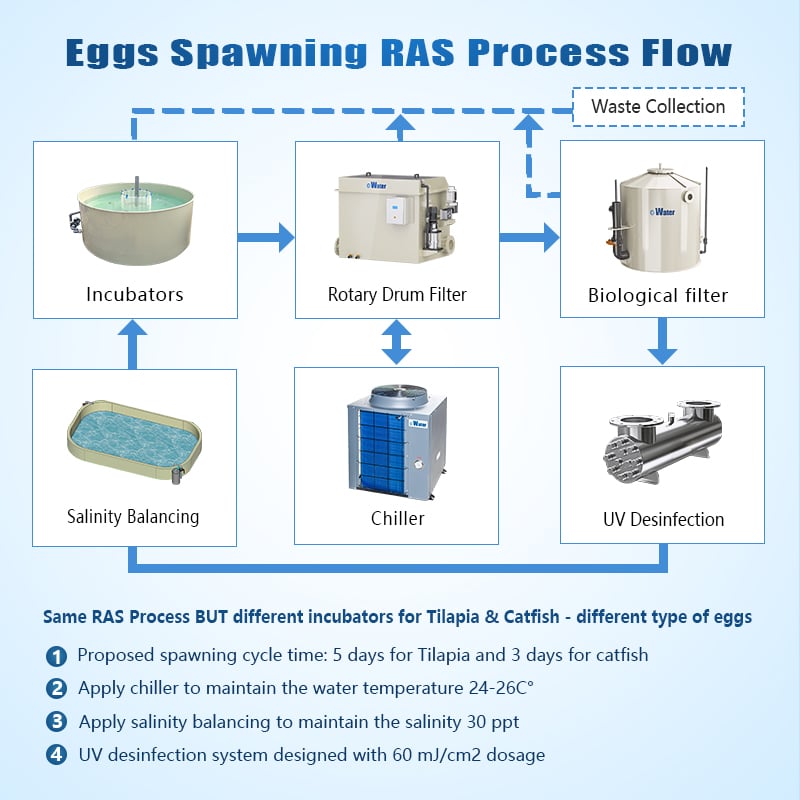 Intensive RAS Fish Farming For Land-based Pond Fish Farm supplier