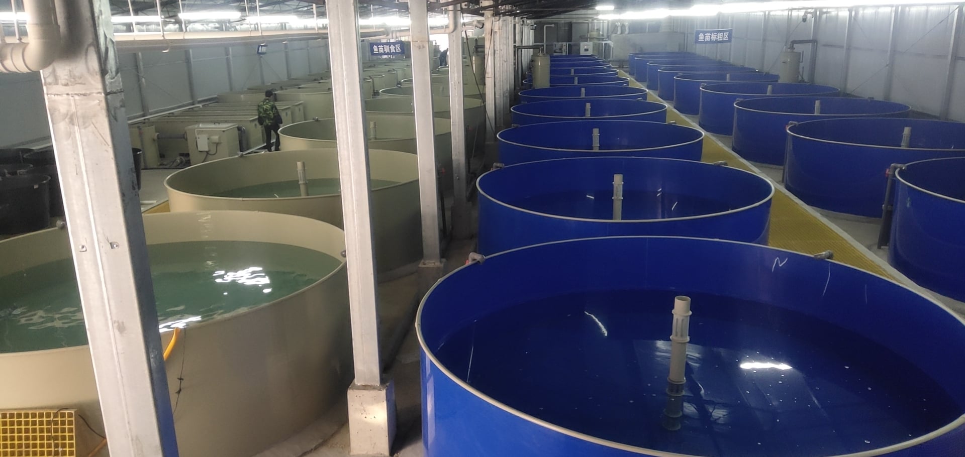 Intensive RAS Fish Farming For Land-based Pond Fish Farm factory