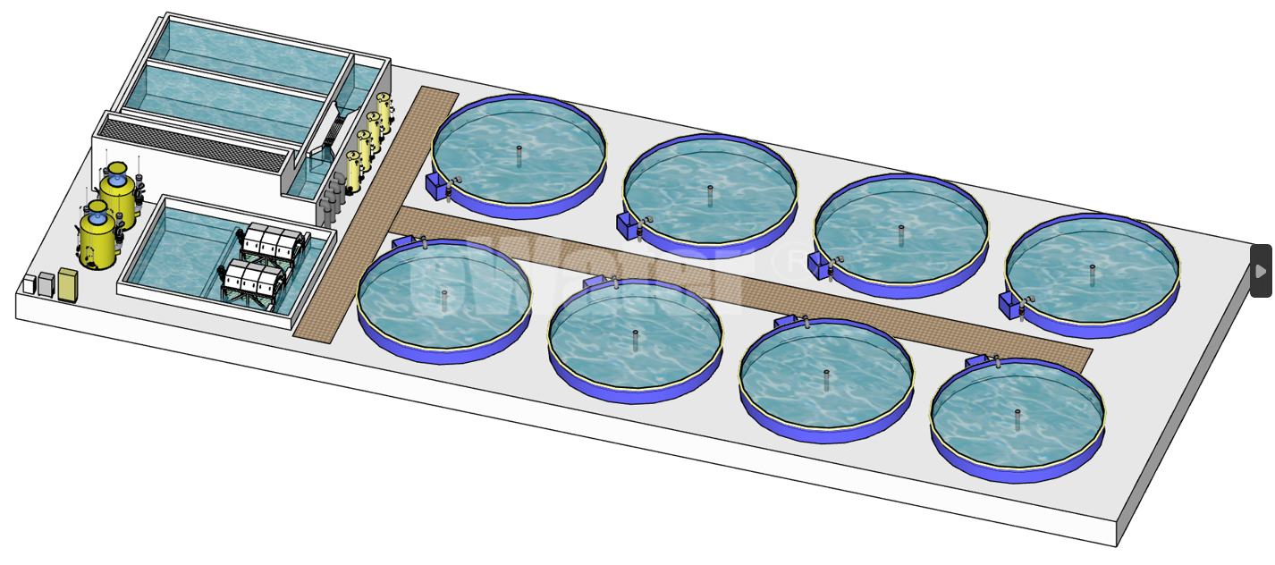 eWater RAS Full Mini Recirculating Aquaculture System details