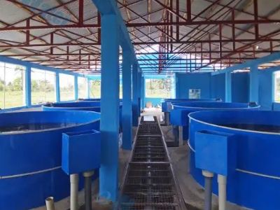 How Modern Aquaculture Systems Drive Sustainable Seafood Production