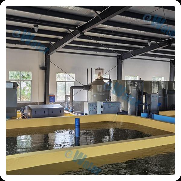 The future of sustainable fish farming with recirculating aquaculture systems