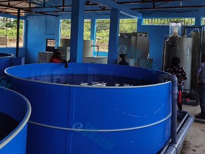 Why Some Closed Systems Still Need Partial Water Replacement