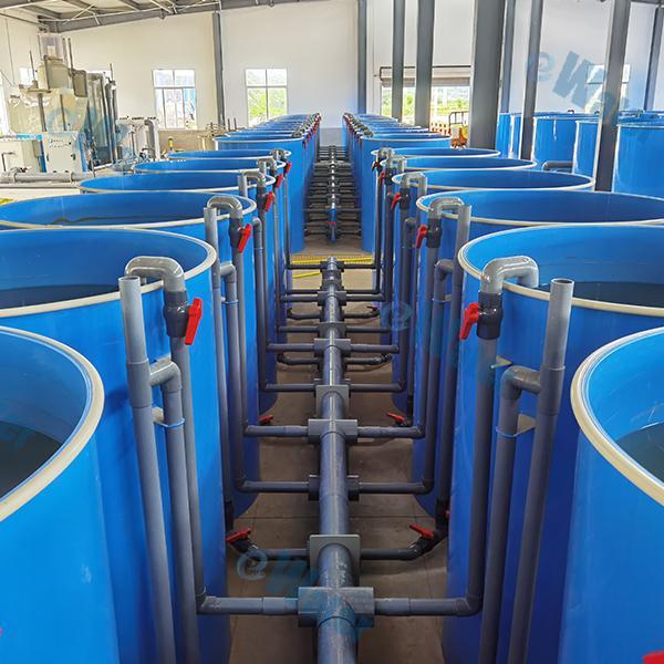 Postępy w wyposażeniu do hodowli ryb z użyciem technologii Biofloc