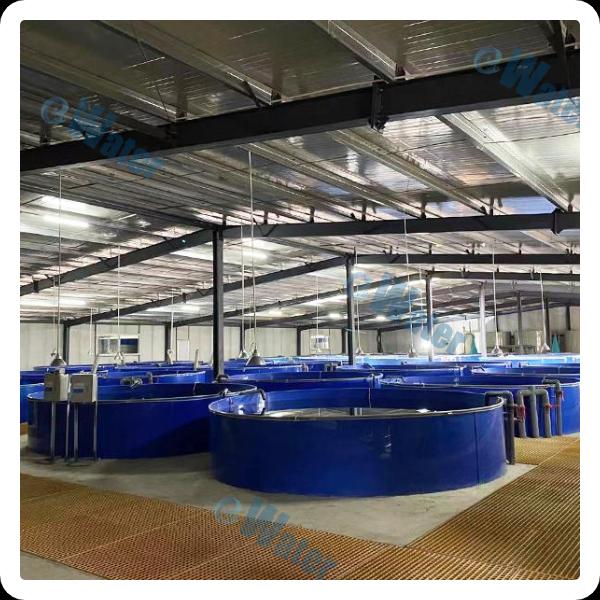 Advantages of controlled environments in aquaculture operations