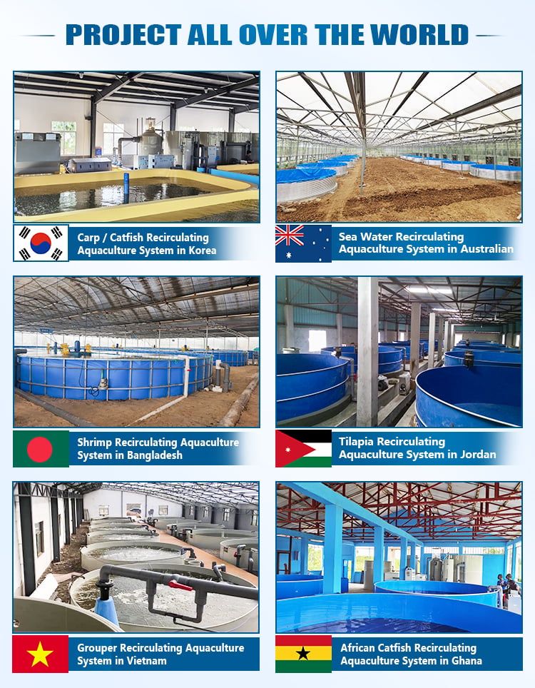 Indoor Protein Skimmer for Recirculating Aquaculture System factory
