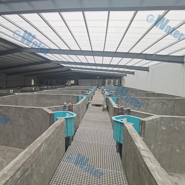The Safety of Aquaculture Water Systems First