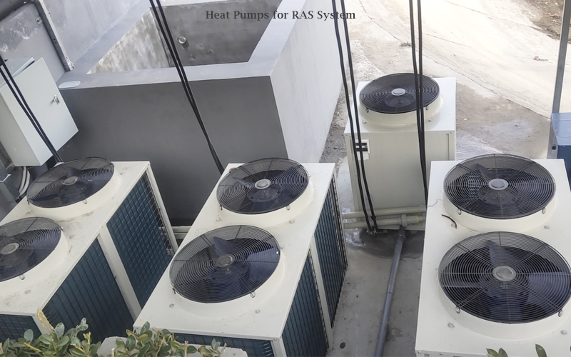 R410A Air To Water Split Inverter Heat Pump manufacture