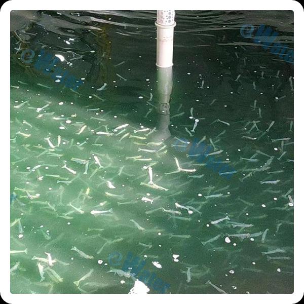 Selecting the Best Aeration System