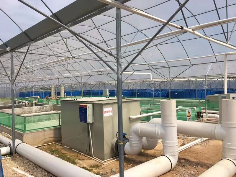 Aquaponics System supplier