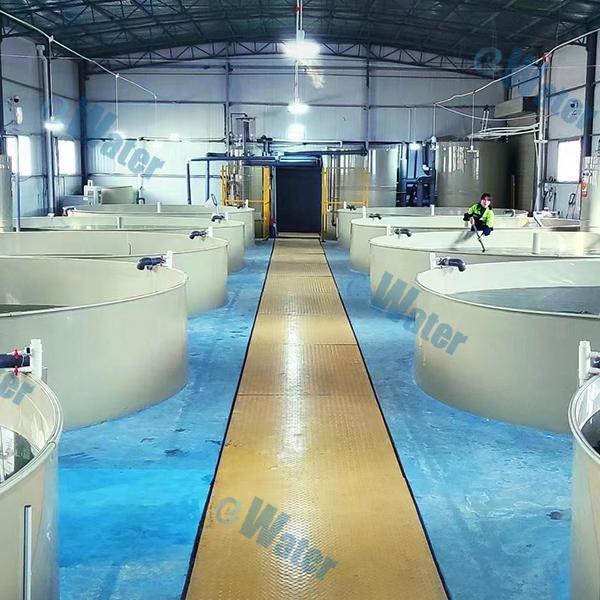 Filtration de l'eau : Garder le bac propre