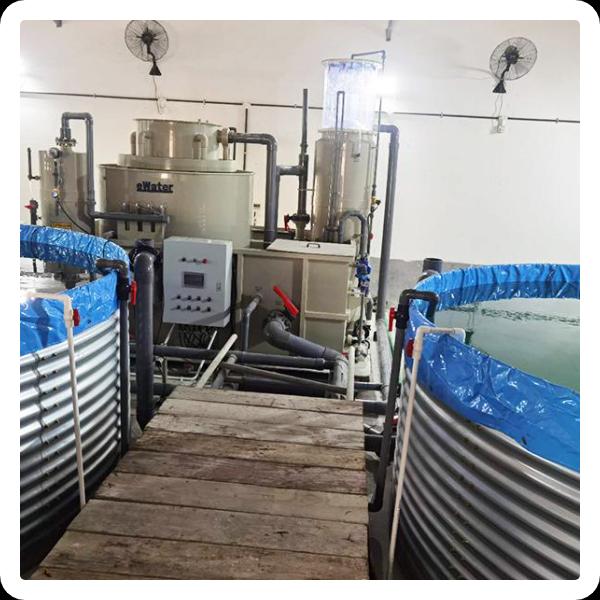 Understanding the benefits of a generator oxygen system