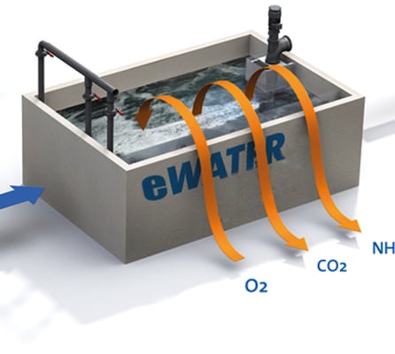 Industrial Ozone Generator Machine for Aquaculture System supplier