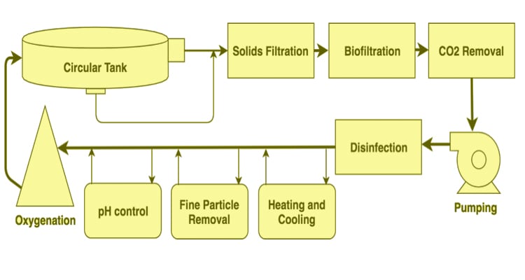 RAS Aquaculture Bio Filter Media System manufacture