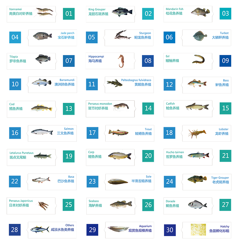Pisciculture Fish Farming Trout Incubator Shrimp System RAS details