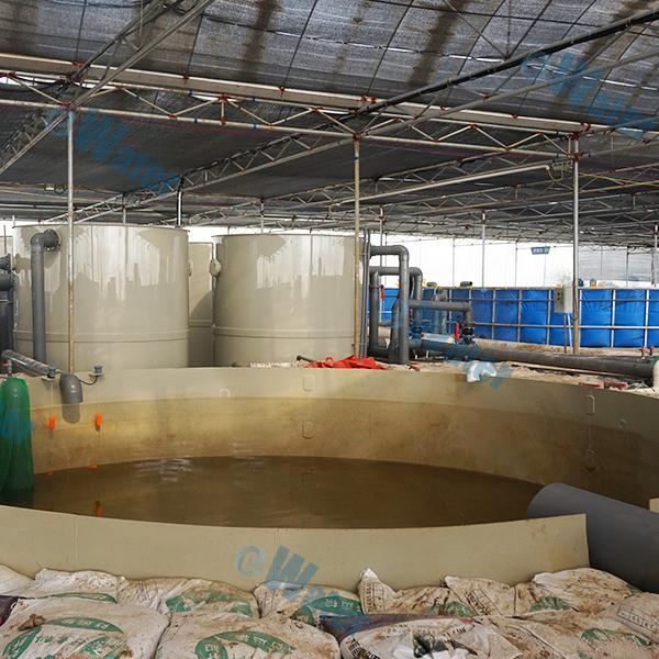 Progrès technologiques dans les pompes et filtres aquacoles pour des pratiques durables en aquaculture