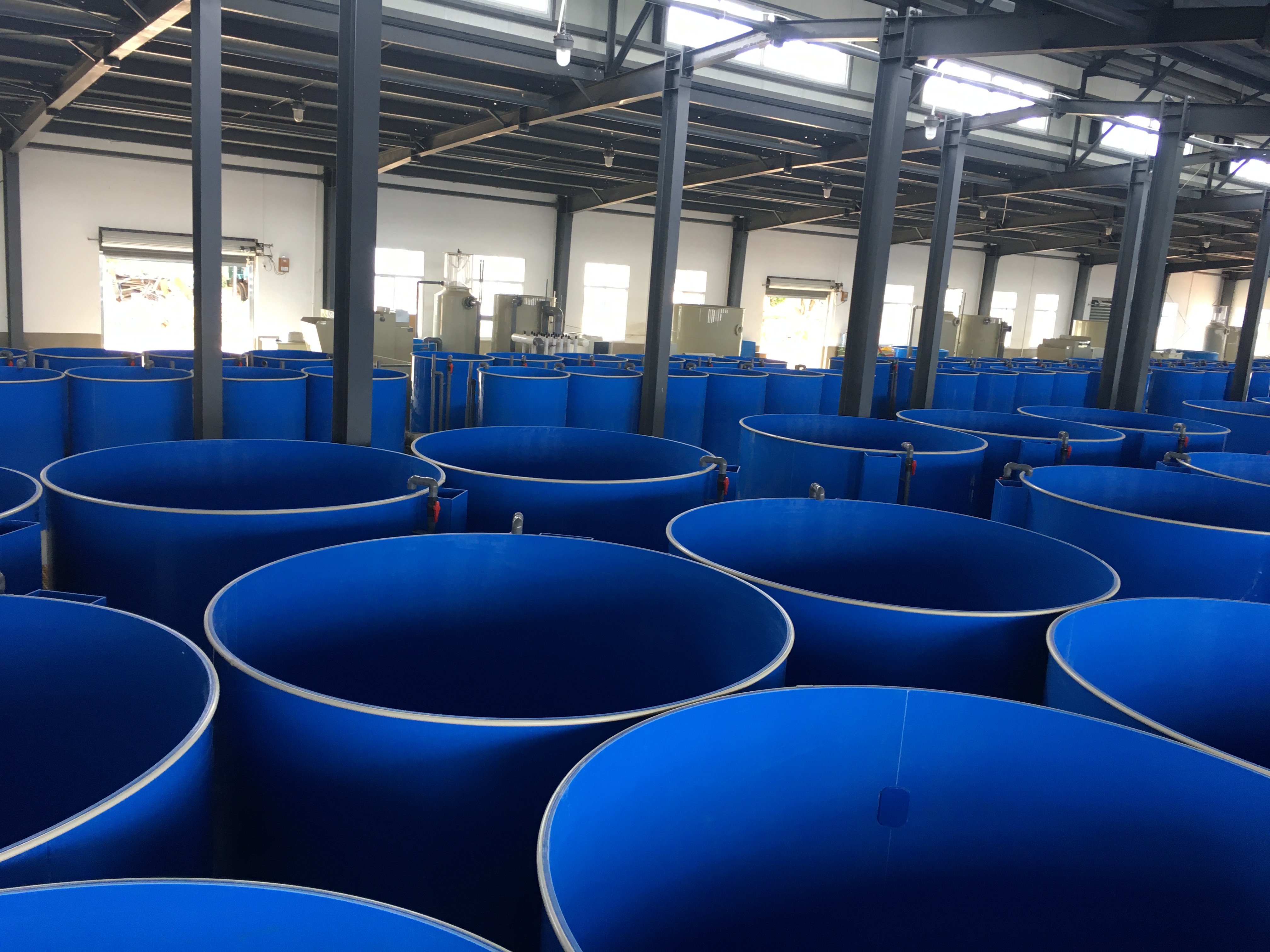 Recirculating Aquaculture System factory